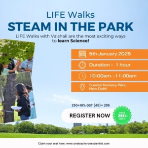 STEAM in the Park