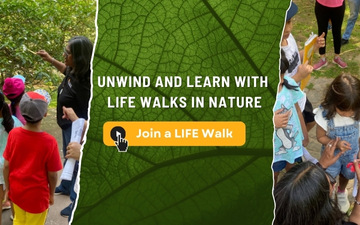 Unwind and Learn with LIFE Walks in Nature”