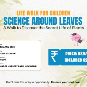 Science Around Leaves – A Walk to Discover the Secret Life of Plants