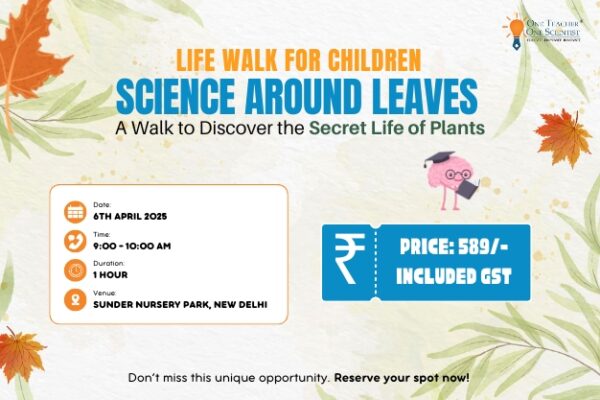 Science Around Leaves – A Walk to Discover the Secret Life of Plants